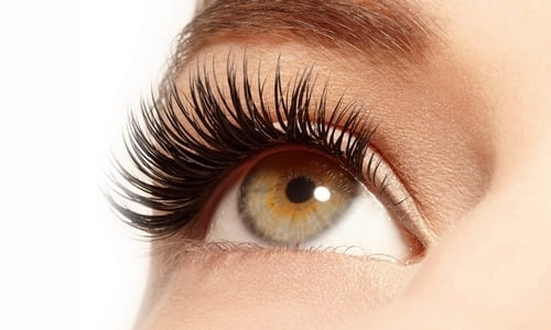Synthetic and natural eyelashes difference