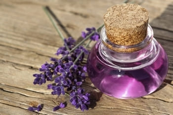 Lavender essential oil properties