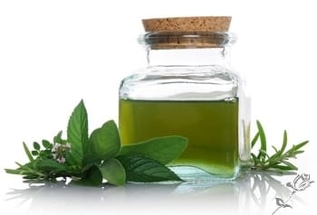 Peppermint essential oil properties and uses