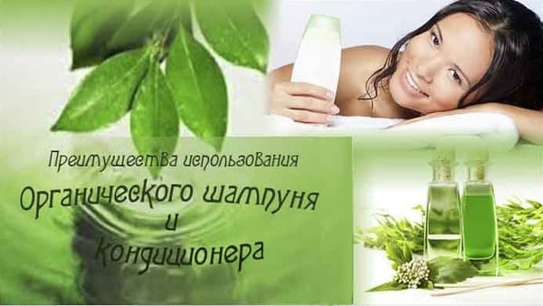 Organic Shampoo Benefits