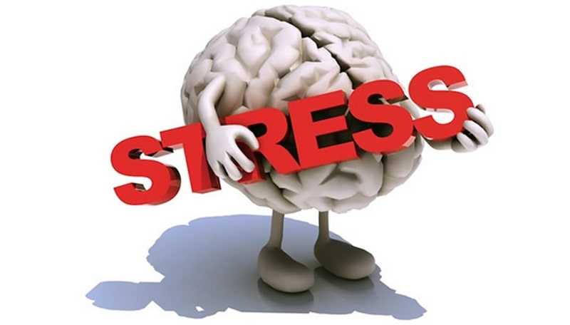 Лучшие способы борьбы со стрессом