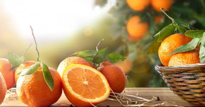Апельсины против старения